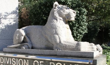 lion statue outside in partial sunlight